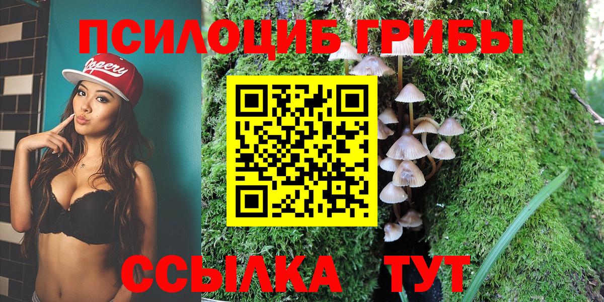 закладки  Вход с VPN  Верхний Уфалей  Псилоцибиновые грибы Magic Shrooms 