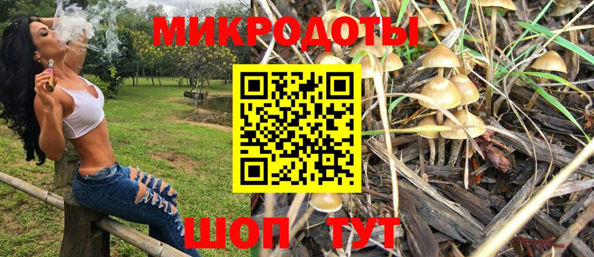 Галлюциногенные грибы Psilocybe Верхний Уфалей